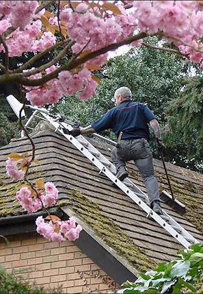 Our staff cleaning the moss from a roof in Ewell near Epsom